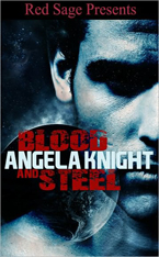 Blood and Steel -- Angela Knight